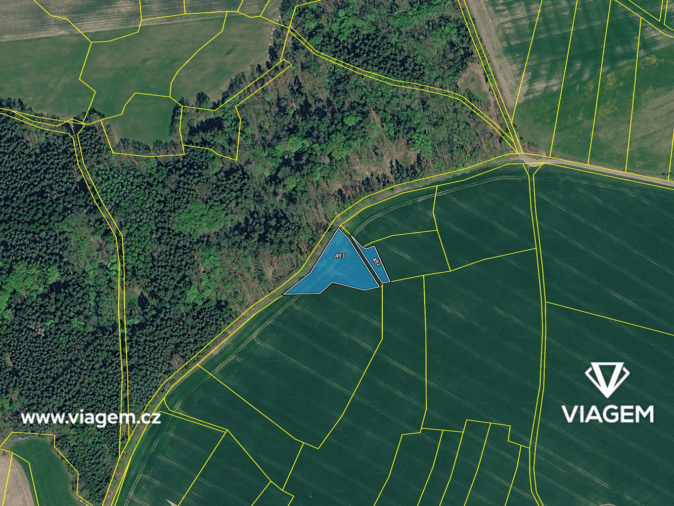 Prodej pole 2 950 m² – fotografie 4