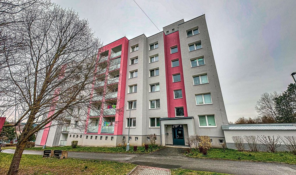 Pronájem bytu 1+kk 27 m², Horní Bříza – náhled fotky 8