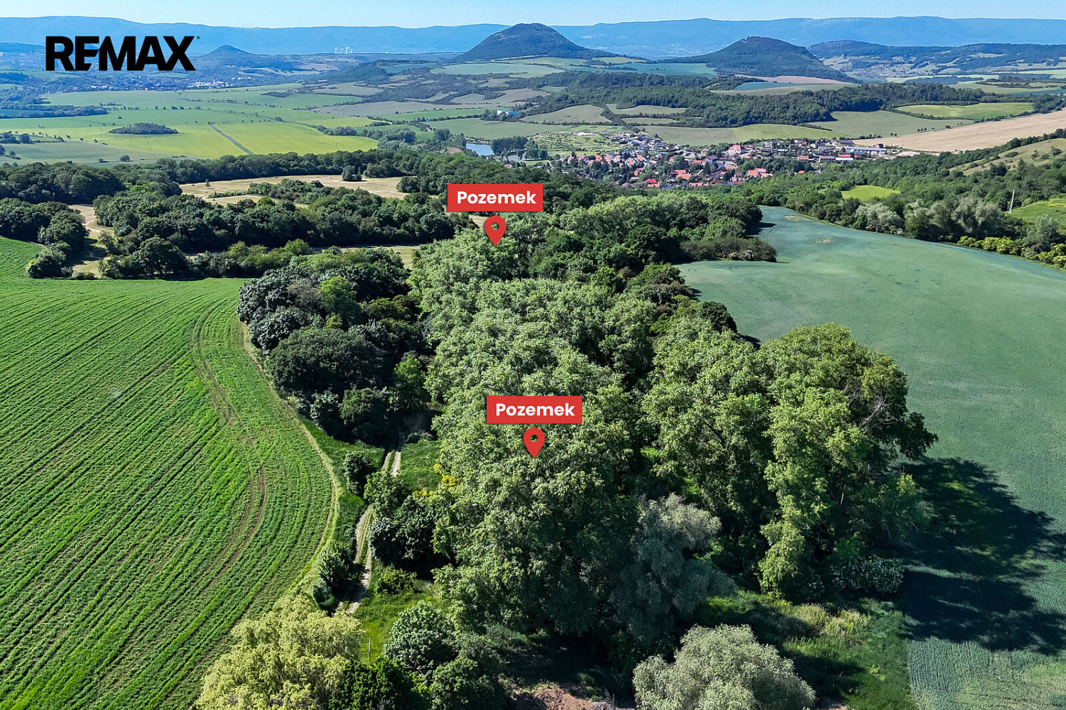 Prodej lesa 5 841 m²