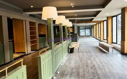 Pronájem obchodních prostor 200 m², Václavské náměstí, Praha 1 - Nové Město
