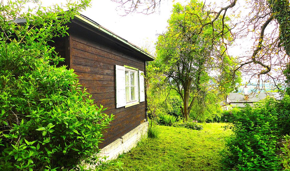 Prodej chaty/chalupy 46 m² s pozemkem 728 m², Petrov – náhled fotky 4