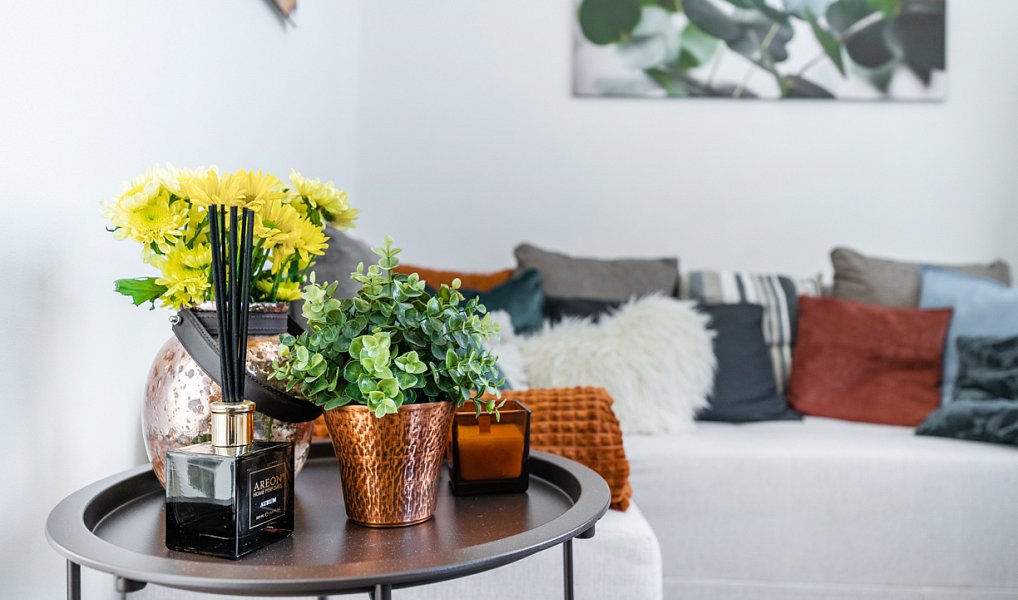 Pronájem bytu 2+kk 35 m², Albrechtice nad Orlicí – náhled fotky 6