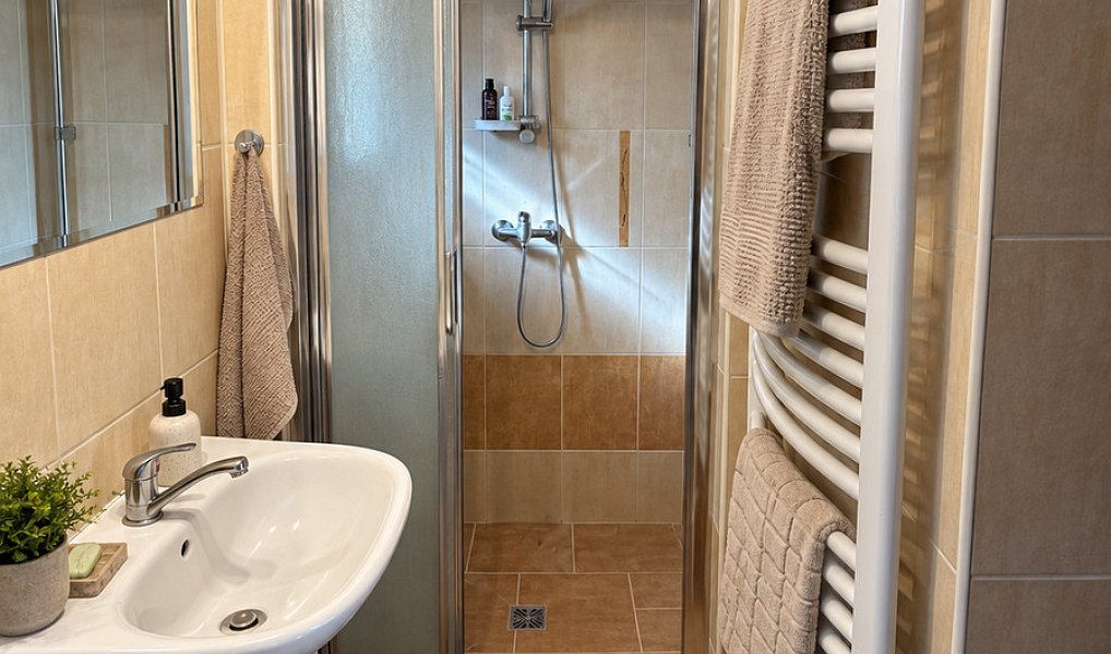 Prodej domu 200 m² s pozemkem 1 800 m², Sušice – náhled fotky 5