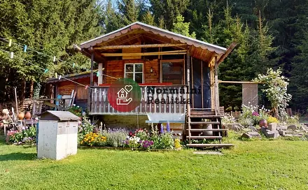 Prodej chaty/chalupy 43 m² s pozemkem 2 578 m², Nový Hrádek - Rzy, okres Náchod
