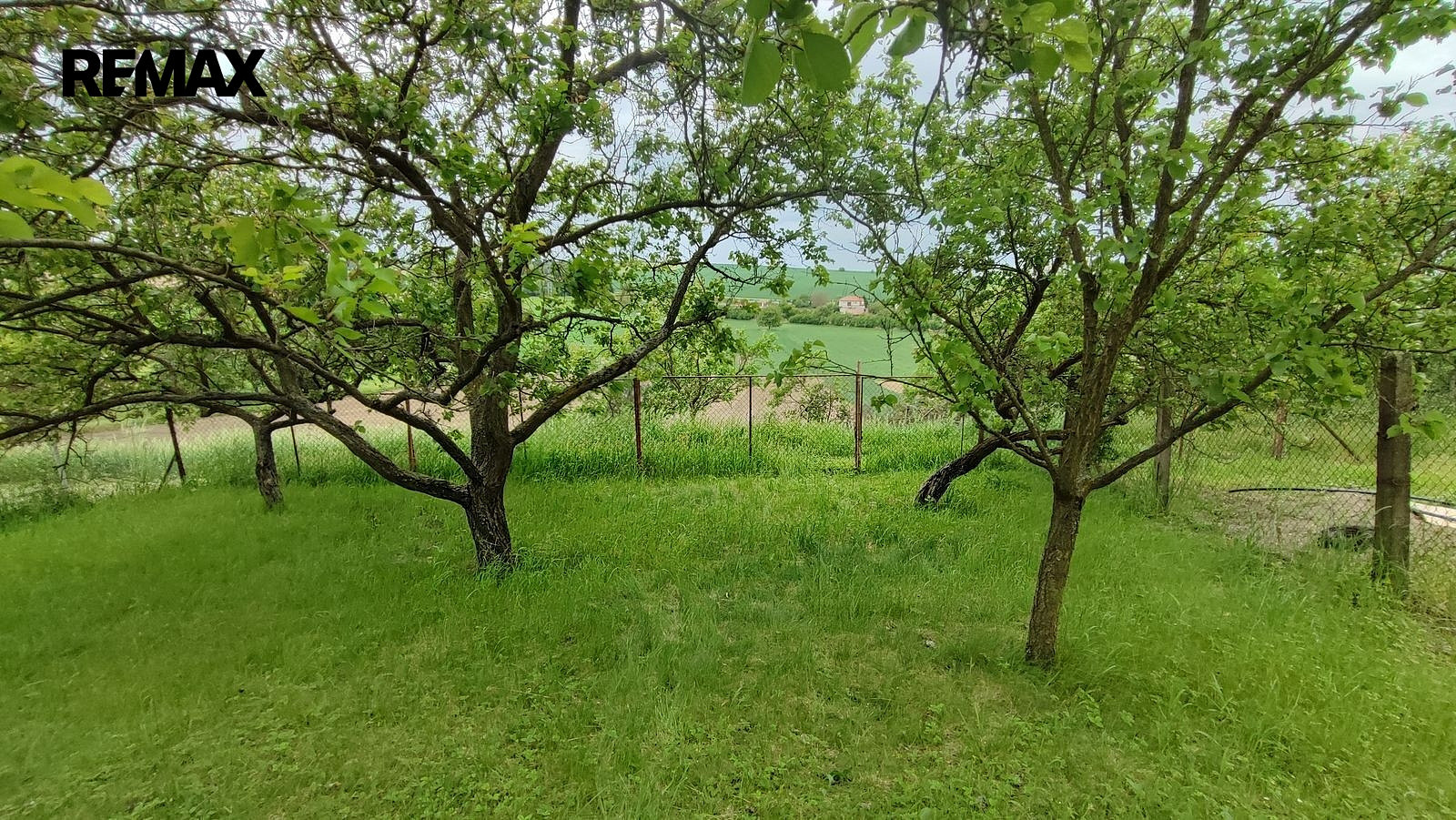 Prodej zahrady 1 279 m² — photo 2