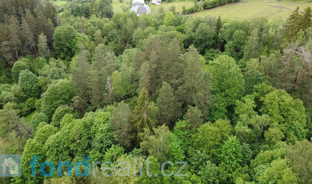 Prodej pozemku 4 999 m², Rejštejn – náhled fotky 2