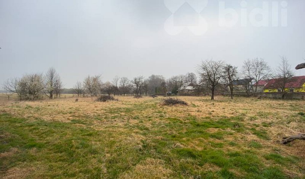 Prodej zemědělského objektu 160 m², Javorník – náhled fotky 32