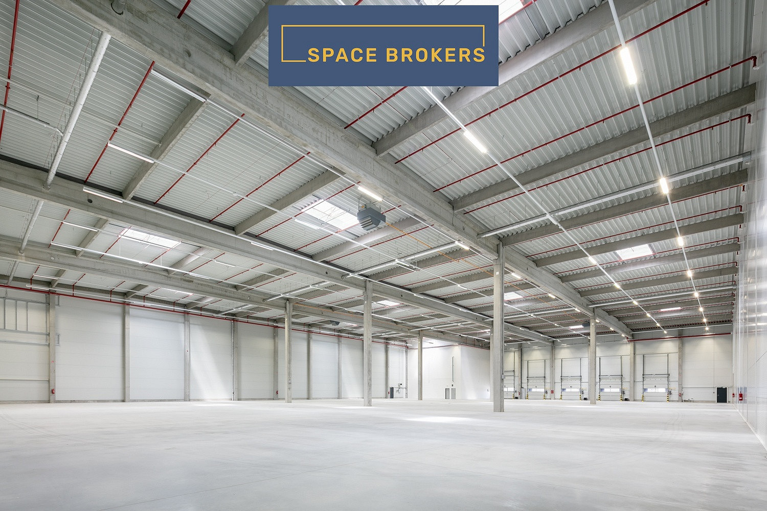 Pronájem skladovacích prostor 8 426 m² – pohled 5