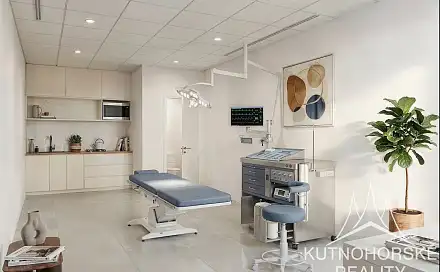 Prodej komerčního objektu (jiného typu) 318 m², Zvěřinova, Kutná Hora - Hlouška