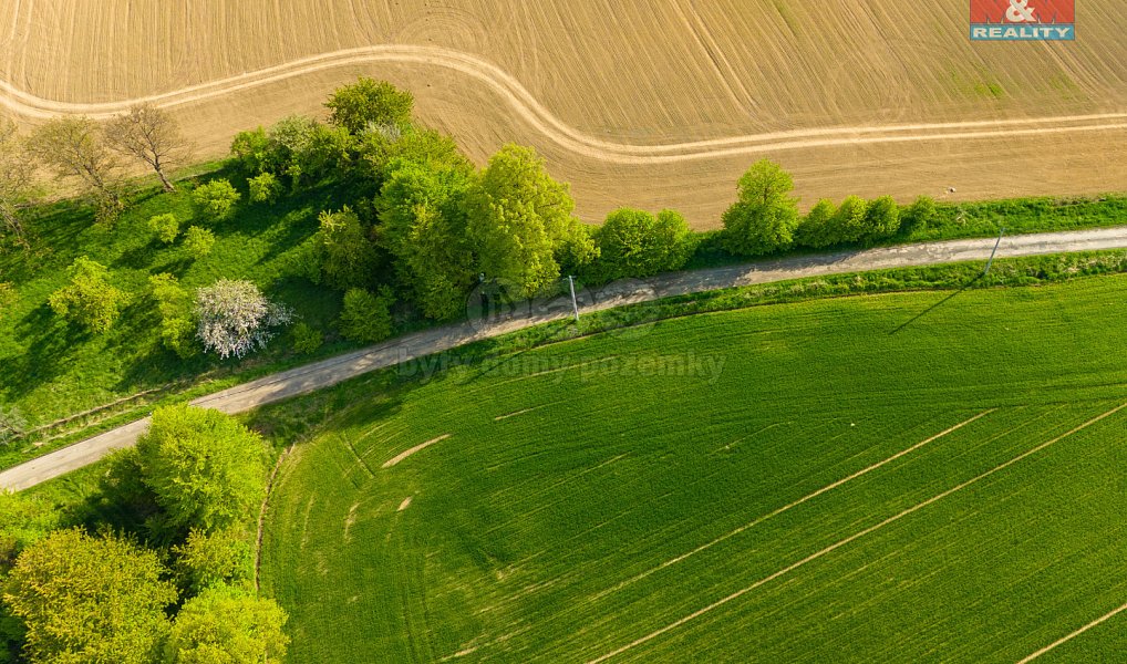 Prodej pole 842 m², Mikulovice – náhled fotky 7