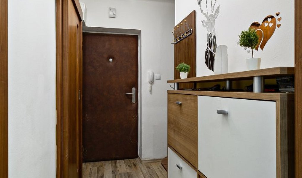 Prodej bytu 2+1 49 m², Plzeň – náhled fotky 6