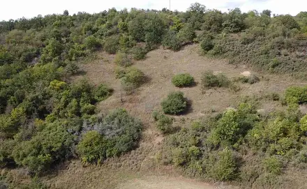 Prodej pole 22 441 m², Řehlovice - Stadice, okres Ústí nad Labem
