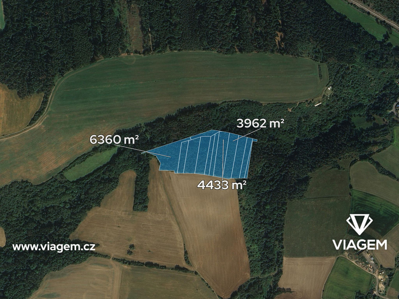 Les 35 109 m², Podíl 5 % o výměře 1 915 m² – pohled 2