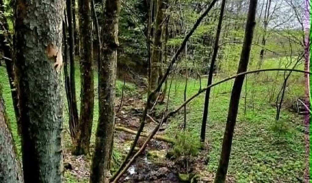 Prodej chaty/chalupy 430 m² s pozemkem 10 355 m², Kořenov – náhled fotky 10