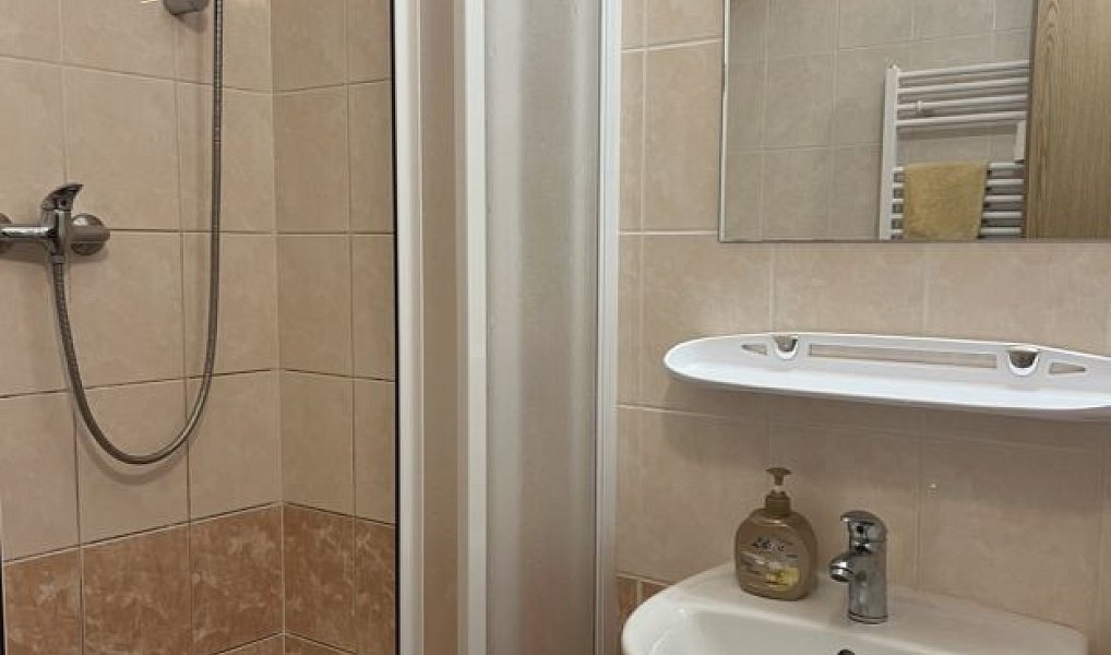 Prodej ubytovacího objektu 300 m², Horní Bečva – náhled fotky 7