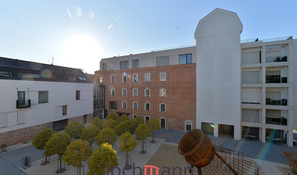 Pronájem bytu 2+kk 55 m², Boršov nad Vltavou – náhled fotky 11