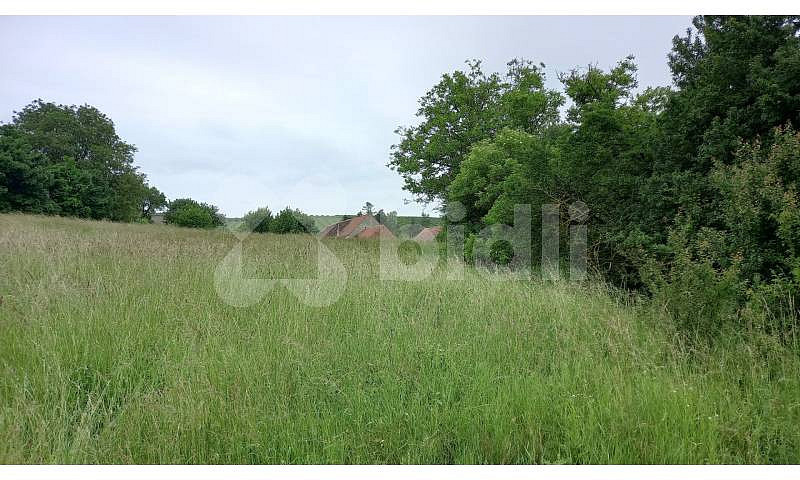 Prodej stavebního pozemku 5 343 m² — photo 2