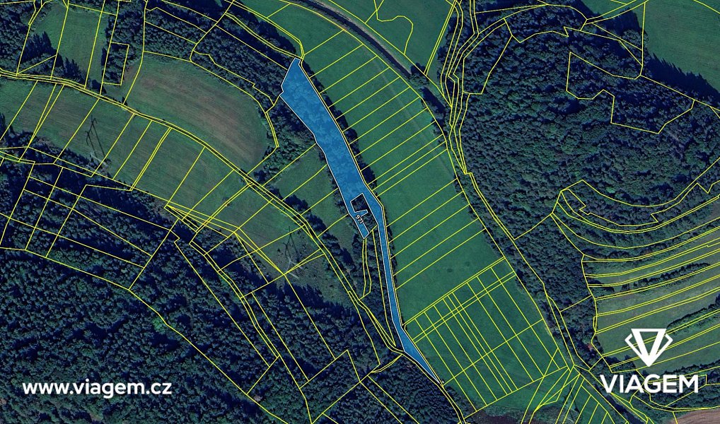Prodej lesa 4 729 m², Vranová Lhota – náhled fotky 4