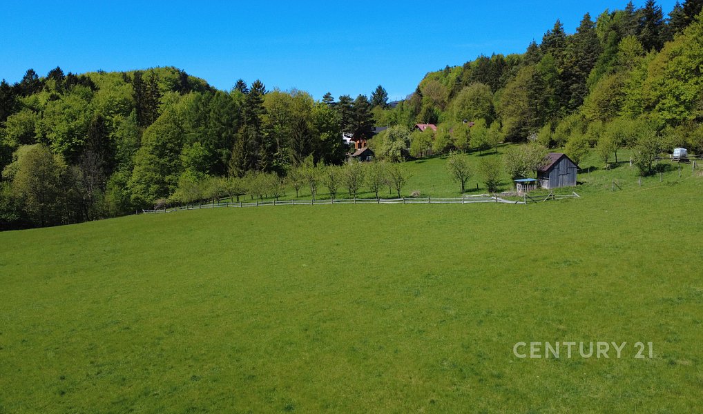 Prodej domu 131 m² s pozemkem 49 321 m², Držková – náhled fotky 25