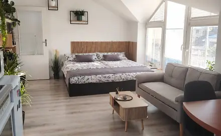 Prodej bytu 1+kk 35 m², Hostivítova, Písek - Václavské Předměstí