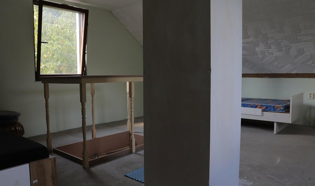 Prodej specifického typu nemovitosti 30 m2, Heřmanův Městec – náhled fotky 11