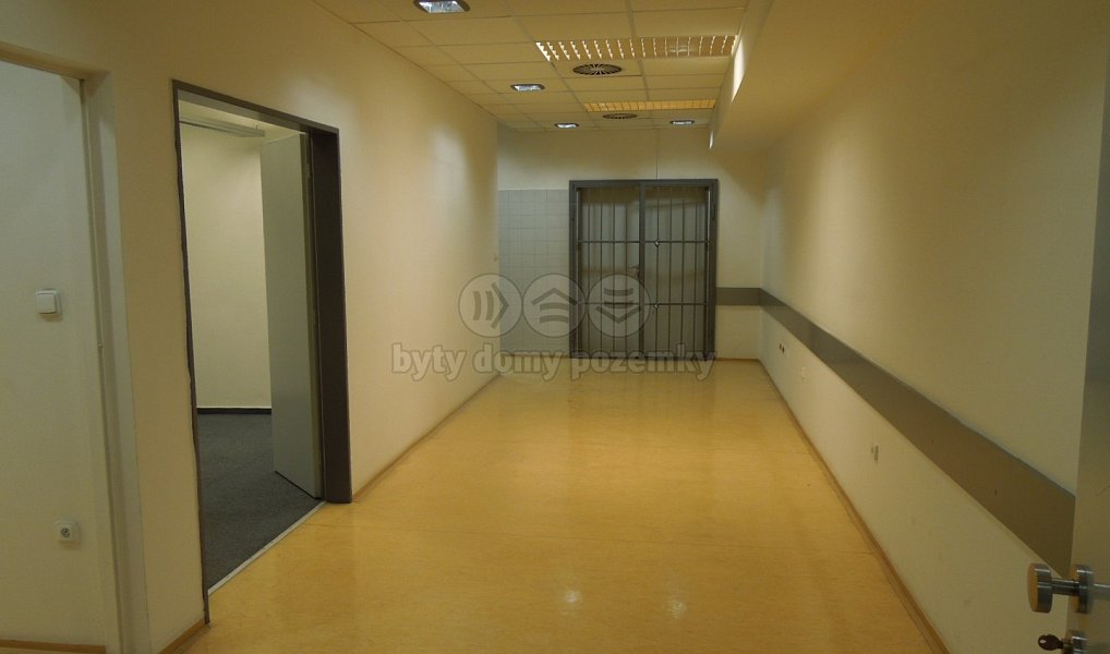 Pronájem obchodních prostor 398 m², Praha – náhled fotky 6
