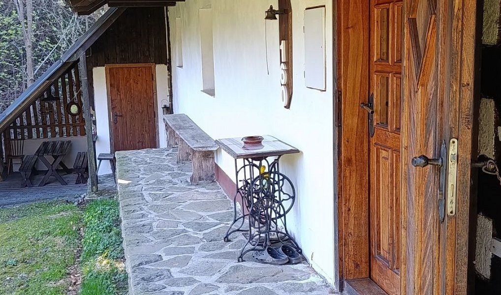 Prodej chaty/chalupy 300 m² s pozemkem 27 976 m², Krásná – náhled fotky 7