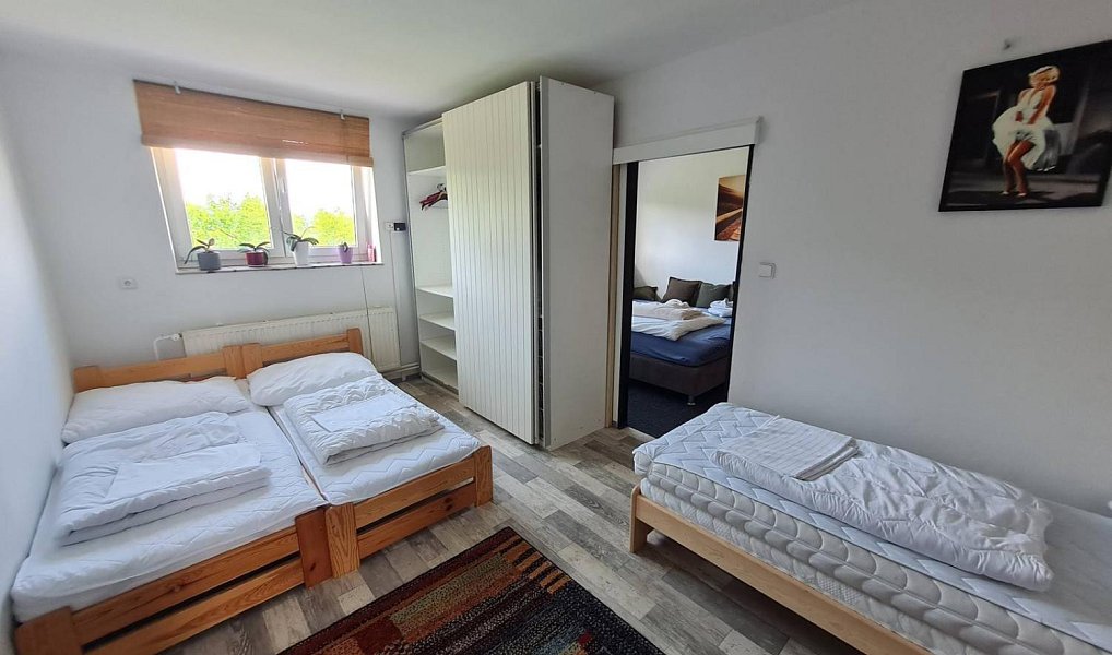 Prodej obchodních prostor 750 m², Frymburk – náhled fotky 12