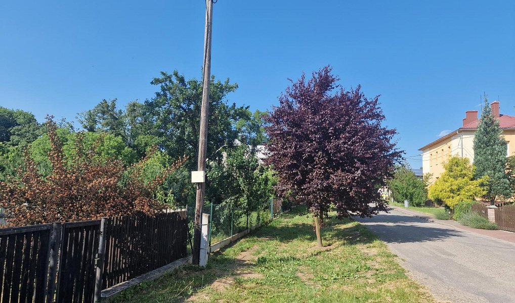 Prodej stavebního pozemku 1 060 m², Lešná – náhled fotky 4