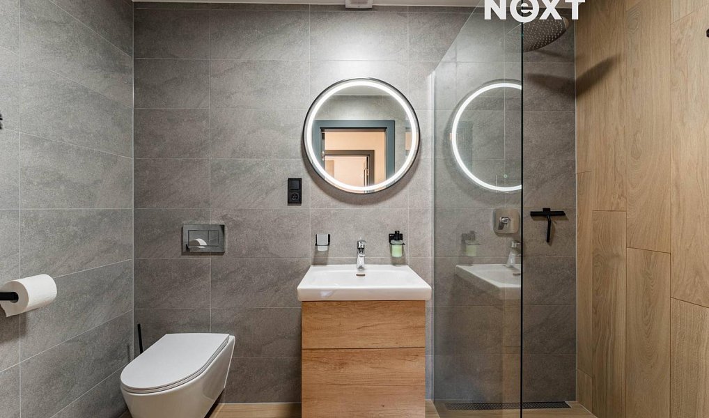 Prodej komerčního objektu (jiného typu) 83 m², Staré Město – náhled fotky 4