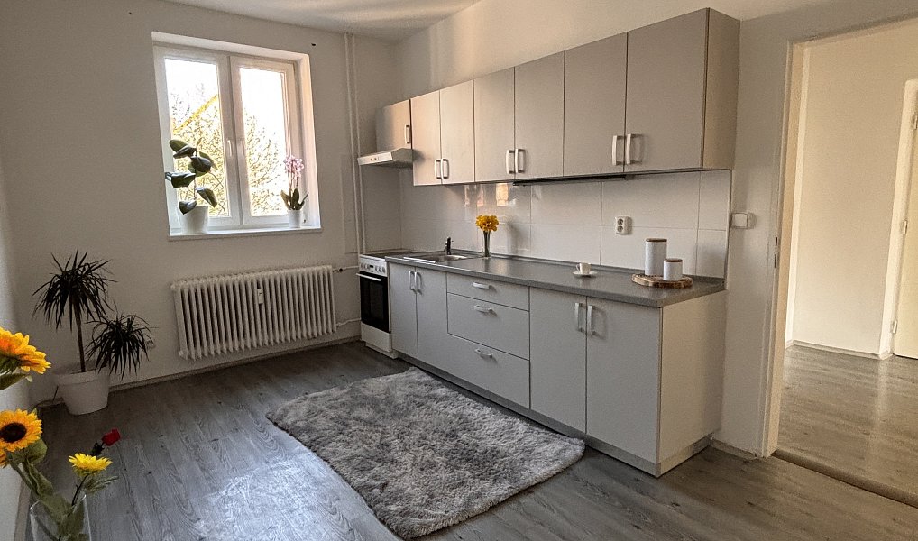 Pronájem bytu 1+1 47 m², Ostrava – náhled fotky 2
