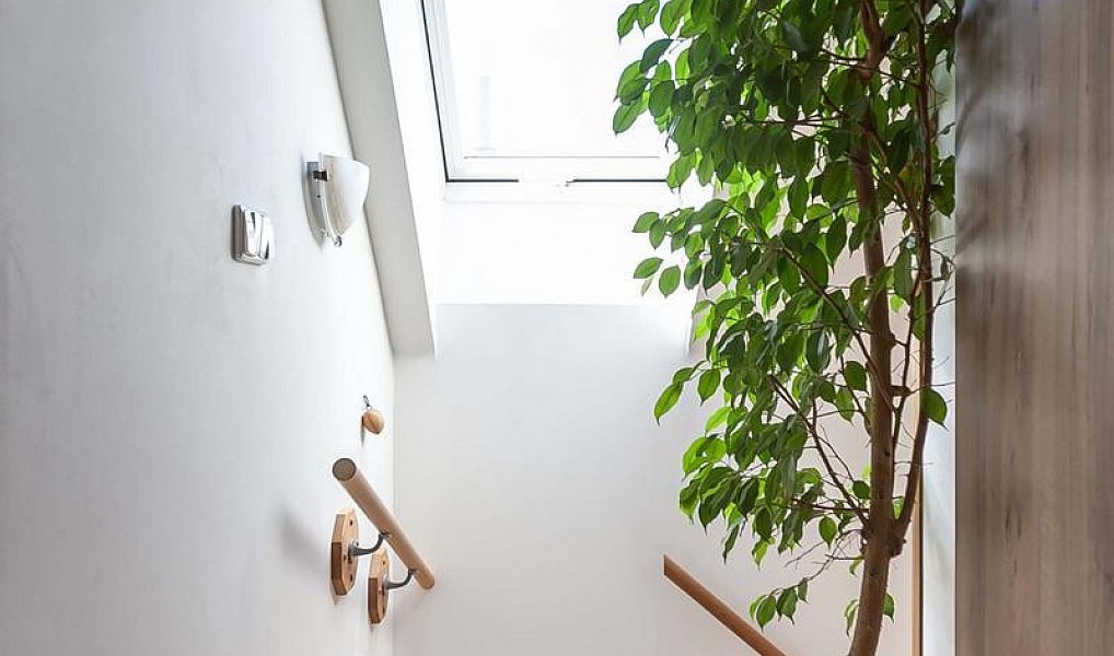 Prodej domu 111 m² s pozemkem 916 m², Městec Králové – náhled fotky 15