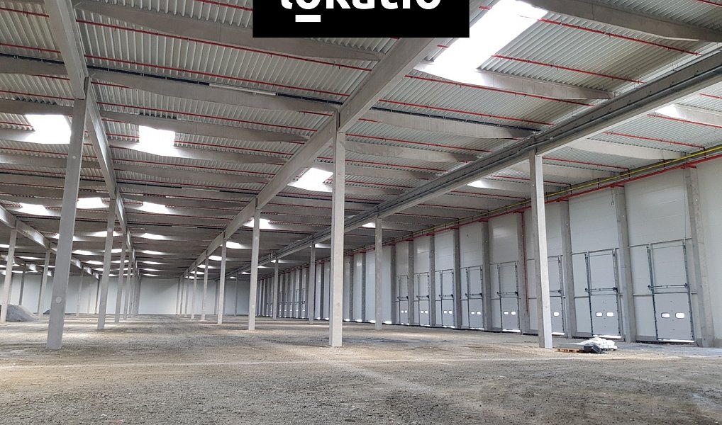 Pronájem skladovacích prostor 3 456 m², Mošnov – náhled fotky 5