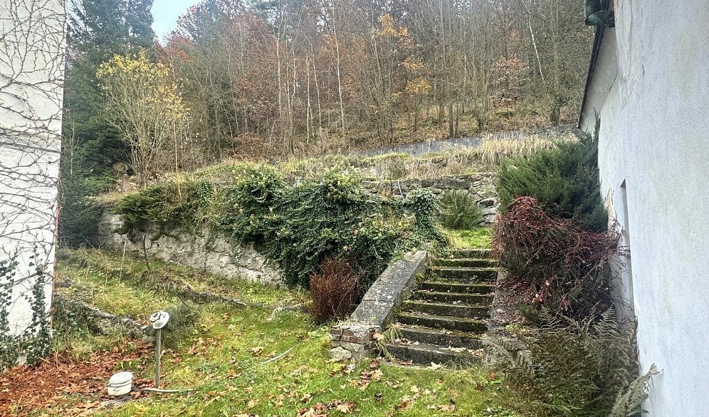 Prodej domu 1 220 m² s pozemkem 1 926 m², Planá – náhled fotky 7
