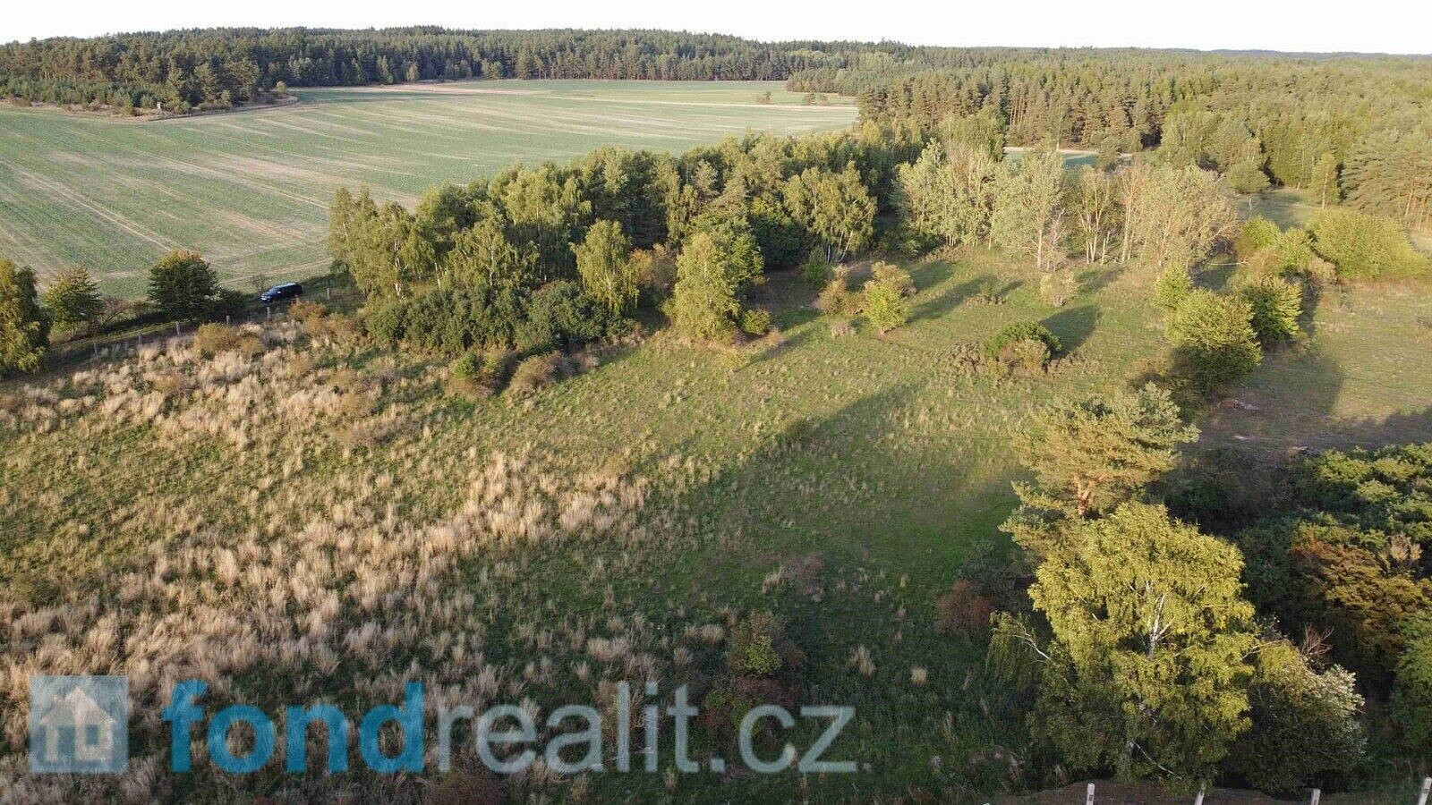 Prodej pole 7 261 m² – fotografie 3