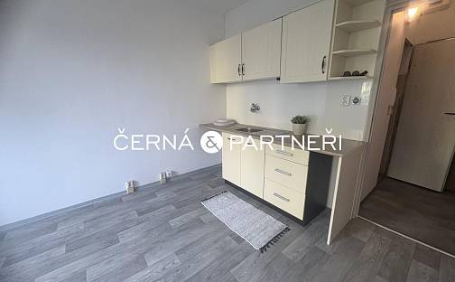 Pronájem bytu 1+1 34 m², Kamenná, Chomutov