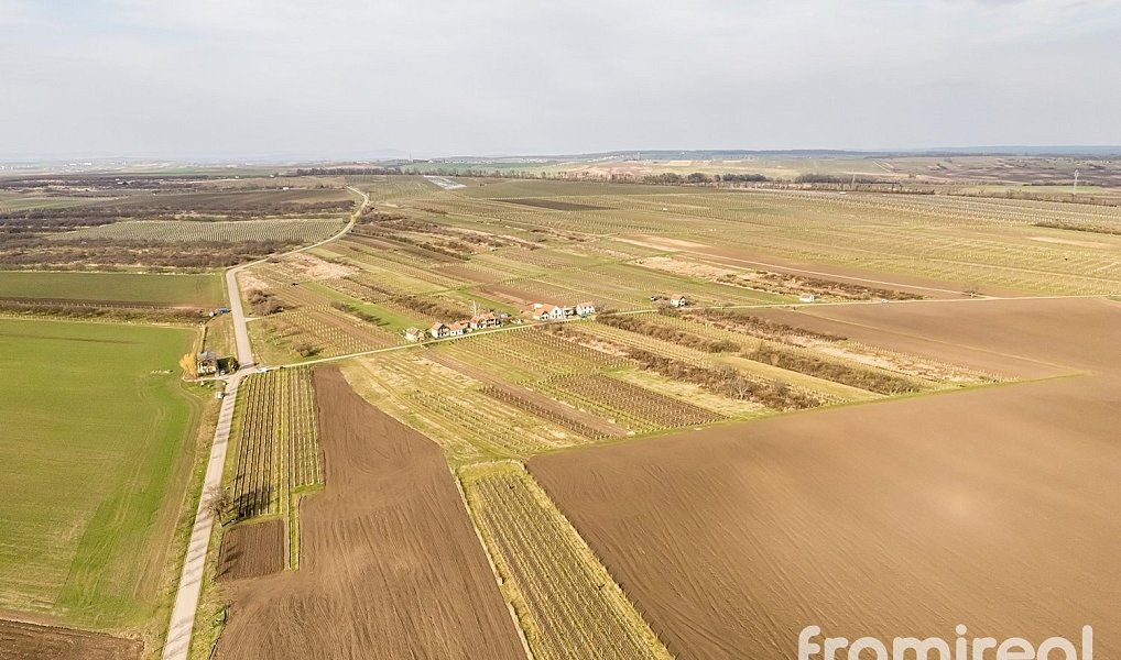 Prodej stavebního pozemku 1 593 m², Moravský Žižkov – náhled fotky 19