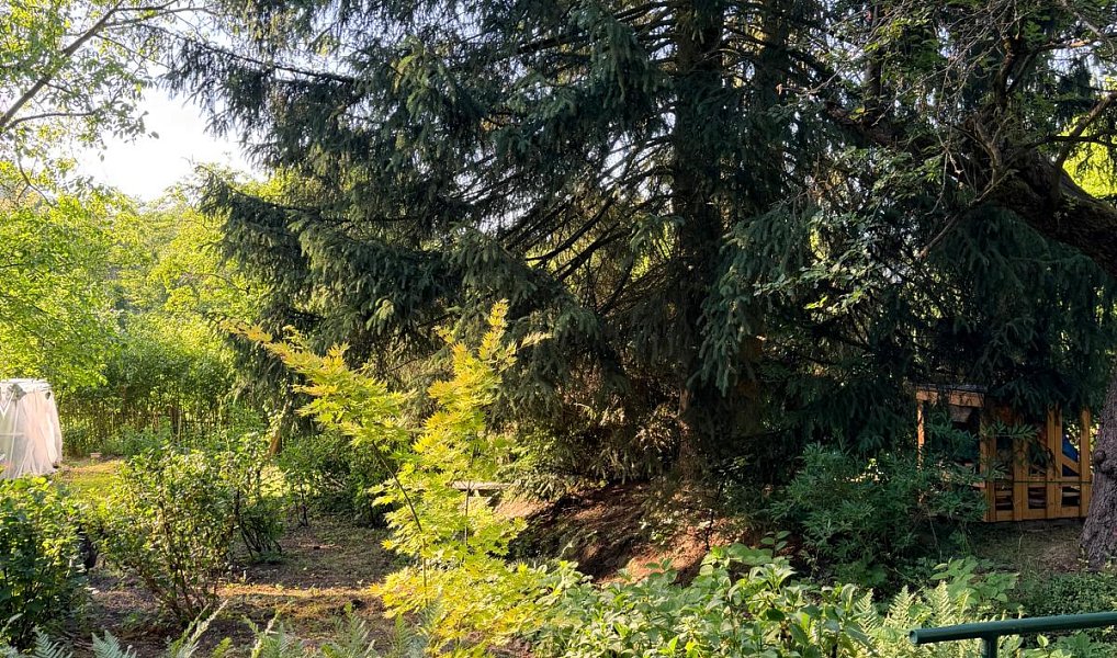 Prodej stavebního pozemku 2 447 m², Lety – náhled fotky 7