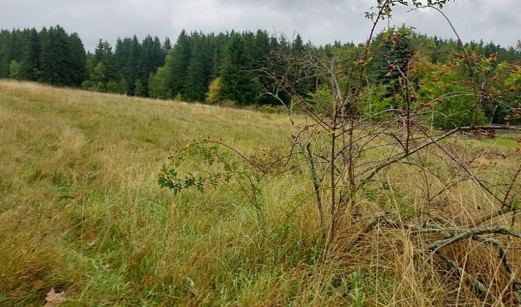 Prodej stavebního pozemku 1 112 m², Chodov – náhled fotky 3