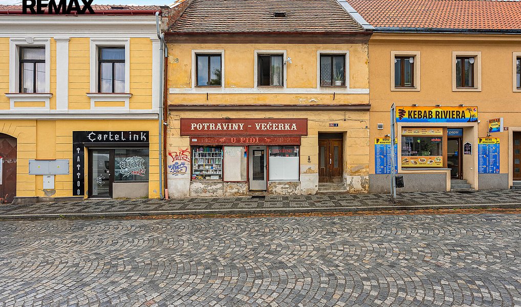 Prodej domu 250 m² s pozemkem 156 m², Kostelec nad Černými lesy – náhled fotky 3