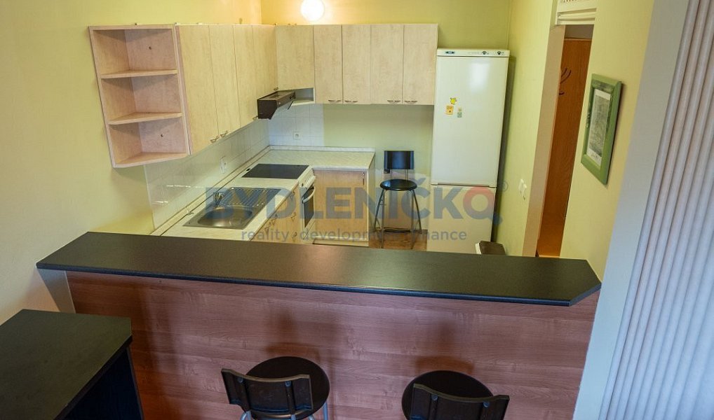 Prodej bytu 2+1 53 m², Písek – náhled fotky 5