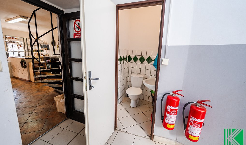 Prodej obchodních prostor 236 m², Praha – náhled fotky 19