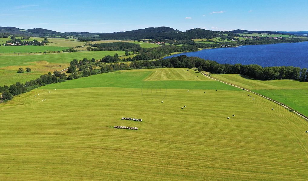 Prodej pole 92 549 m², Horní Planá – náhled fotky 9