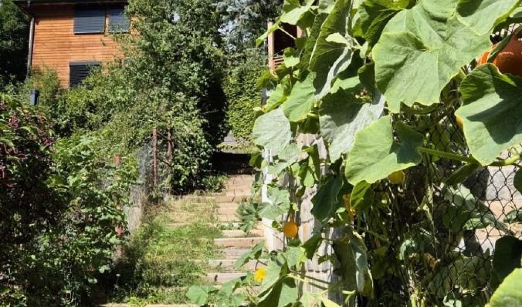 Prodej chaty/chalupy 50 m² s pozemkem 368 m², Lichoceves – náhled fotky 2