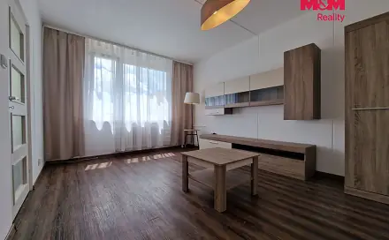 Pronájem bytu 1+1 37 m²