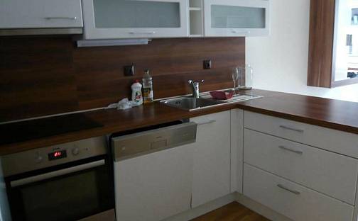 Pronájem bytu 2+kk 55 m², Vinohrady, Brno - Štýřice