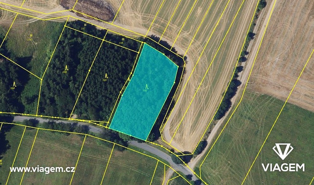 Prodej lesa 1 144 m², Brodek u Konice – náhled fotky 3