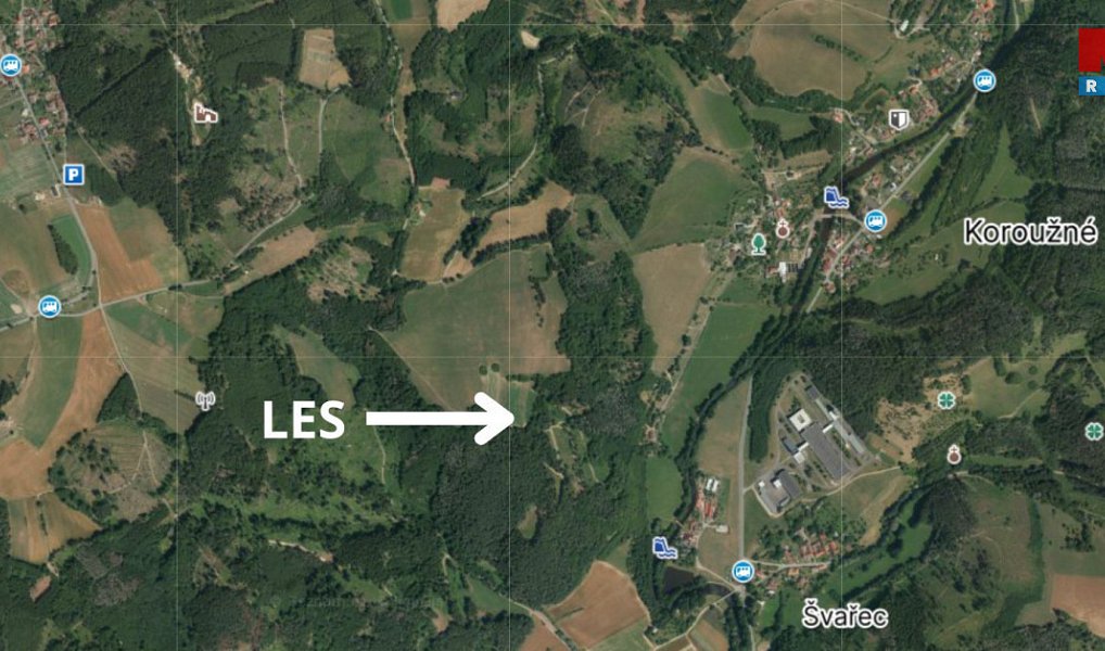 Prodej lesa 4 497 m², Koroužné – náhled fotky 3
