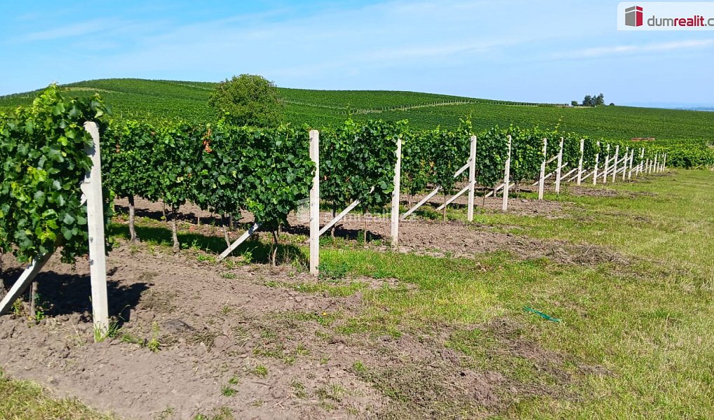 Prodej pozemku 20 996 m², Dolní Dunajovice – náhled fotky 2