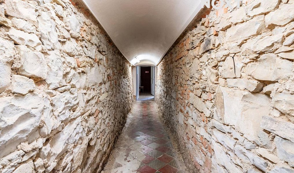 Prodej obchodních prostor 287 m², Polička – náhled fotky 9